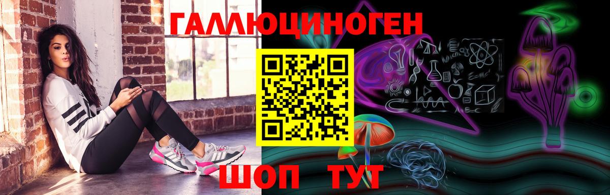 Псилоцибиновые грибы Psilocybine cubensis Александров